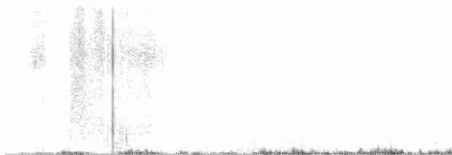 Chihuahuan Meadowlark - ML618191459
