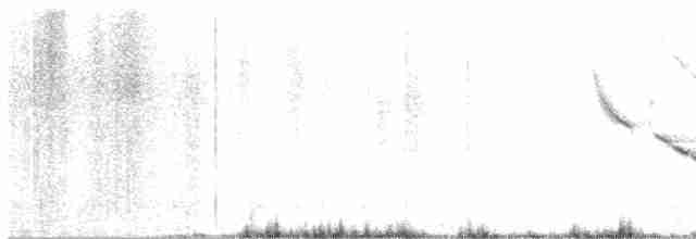 Chihuahuan Meadowlark - ML618191461