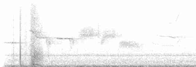 Белобровая овсянка - ML618191601