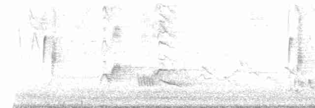 tyranovec malinký - ML618191692