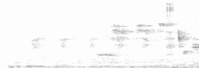 langhaleskredderfugl - ML618191728