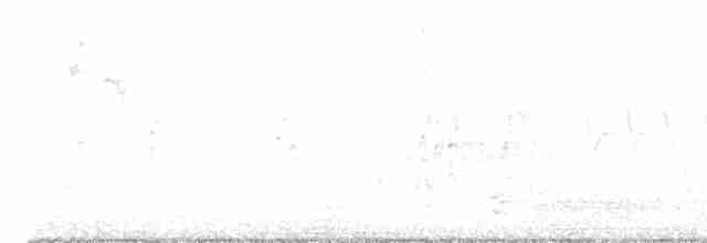 lesňáček černobílý - ML618191916