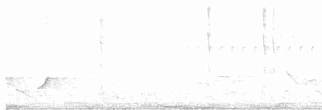 Yakut Boğazlı Kolibri - ML618191969