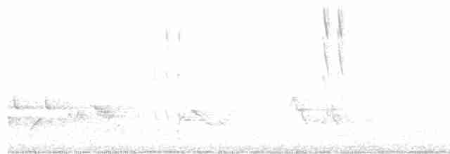 Yakut Boğazlı Kolibri - ML618191970