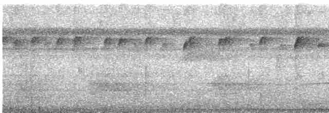 カオグロアリツグミ（hoffmanni グループ） - ML618192329