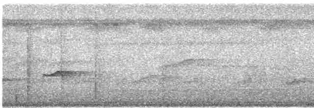 gulgumpattila (flammulatus gr.) - ML618192349