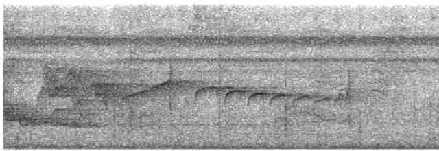 Тиран-карлик буроголовий - ML618192368