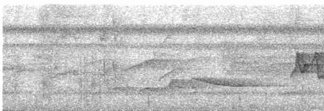Graukappenvireo (decurtata/darienensis) - ML618192418