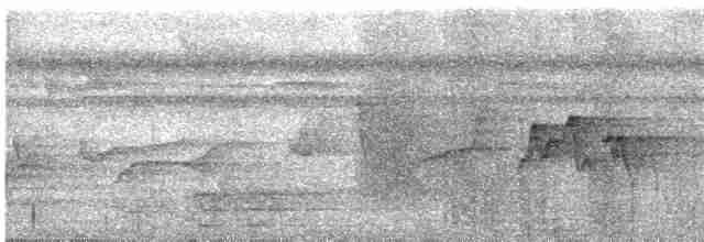 Küçük Yaprak Vireosu (decurtata/darienensis) - ML618192419