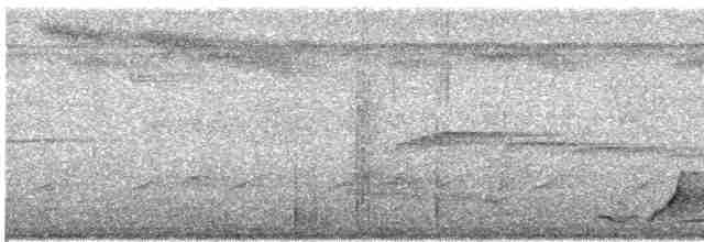 Kısa Gagalı Kızılca Güvercin - ML618192454