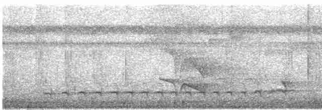 Зернолуск білогорлий - ML618192466