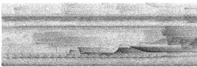 Зернолуск білогорлий - ML618192467