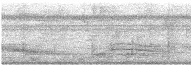 Зернолуск білогорлий - ML618192468