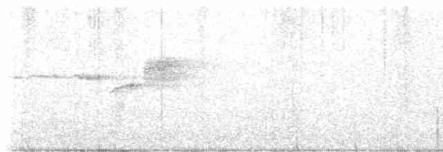 Paruline à gorge noire - ML618192472