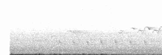 hvitkragefrøeter - ML618192653