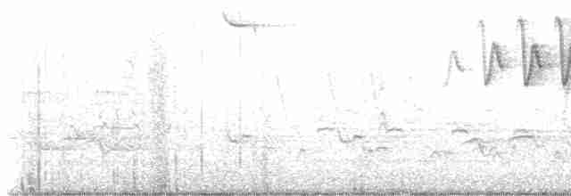 Каролинский крапивник - ML618193932