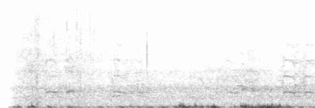 אווז לבן-מצח - ML618194481