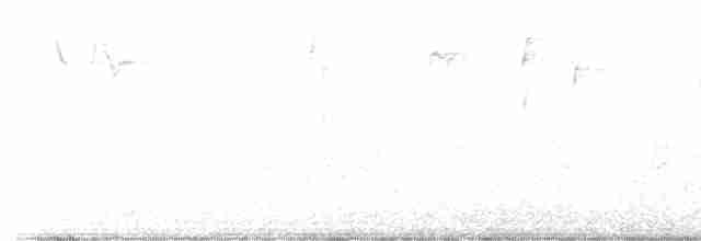 Каролинский крапивник - ML618194824