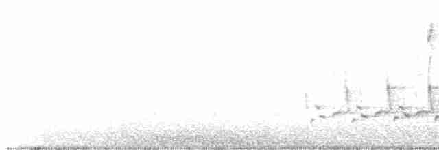 Каролинский крапивник - ML618194825
