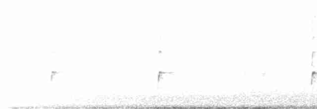 Каролинский крапивник - ML618194827
