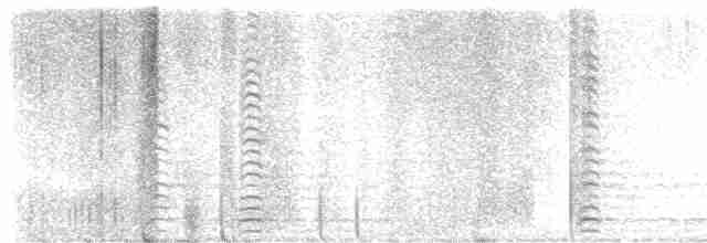 Cisne Trompetero - ML618194979