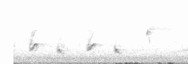 Kalifornienspottdrossel - ML618195395
