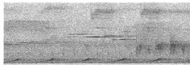 Малая кукушковая горлица - ML618195549