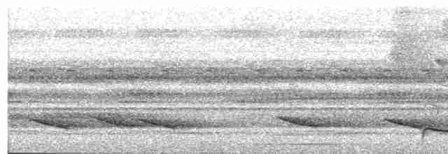 Borneoschwalm - ML618195619