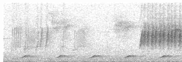 Gray-throated Babbler - ML618195750