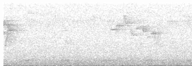 holub světlebřichý - ML618195757