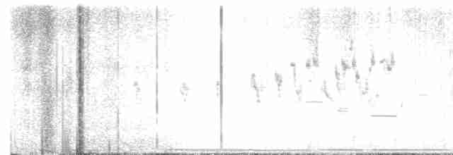 storpræriejerpe - ML618195939