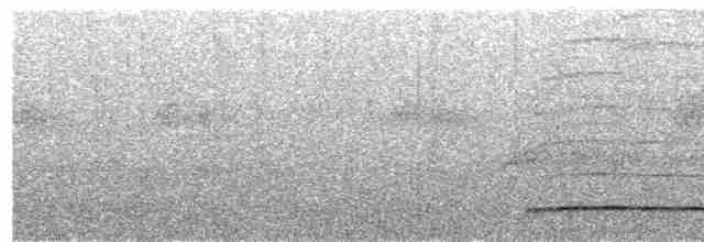Суматранская воронья кукушка - ML618196003