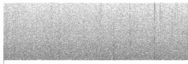 Суматранская воронья кукушка - ML618196004