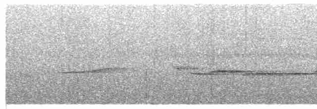 Суматранская воронья кукушка - ML618196005