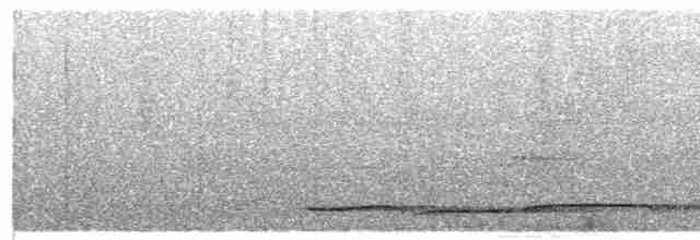 Суматранская воронья кукушка - ML618196006
