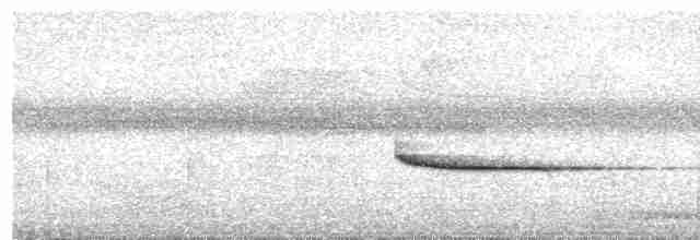 Eyebrowed Wren-Babbler - ML618196093