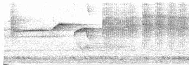 Kızılca Kaşlı Sinekkapan - ML618196122