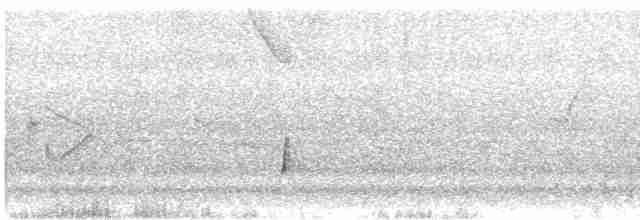Brown-crested Flycatcher - ML618196139