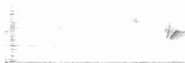 Атласная нектарница - ML618196479