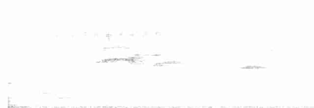 Белогорлая веерохвостка - ML618196518