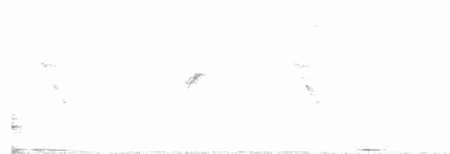 Попугай Крамера - ML618196818