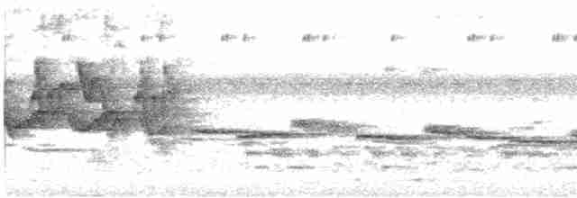 Streifenbrust-Erddrossling - ML618197105