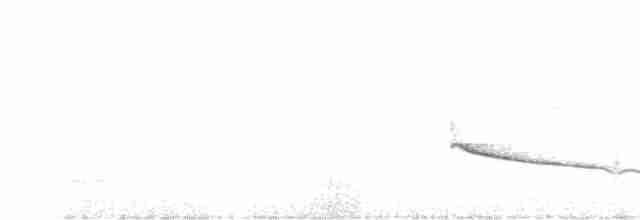 Дідрик смугастощокий - ML618198008