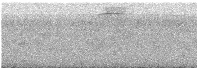 Spotted Quail-thrush - ML618199270