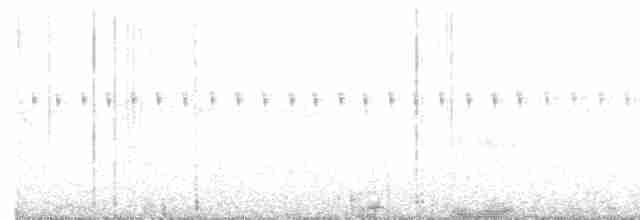 Четырёхкрылый козодой - ML618199959