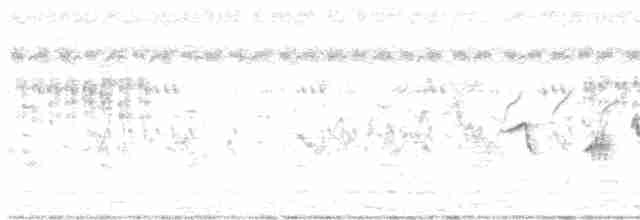 白斑黑石䳭 - ML618200001