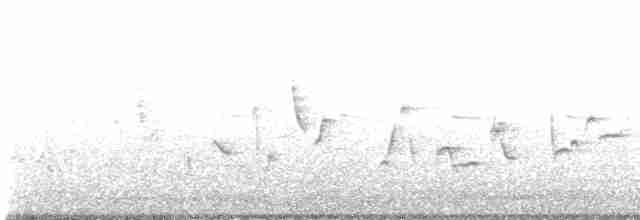 Кропив’янка чорноголова - ML618200060