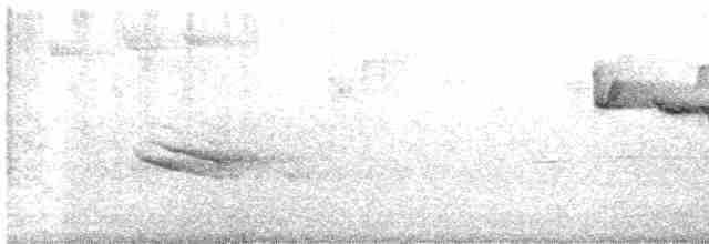 Красноголовая короткохвостка - ML618200076
