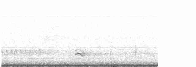 אנפית גמדית - ML618200233