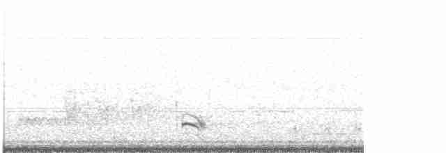 אנפית גמדית - ML618200234